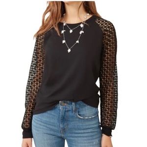 Maette by Stella & Dot Amie Lace shirt M